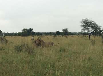 Review image by Fabian Varga for the trip title: 3 Day Weekend Safari from Arusha