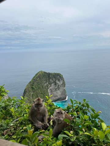 Review image by Anonymous for the trip title: Bali Bliss
