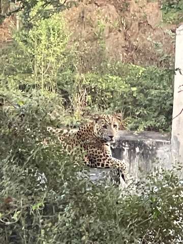 Review image by JOHN MOSS for the trip title: India Golden Triangle with Tigers & Leopards