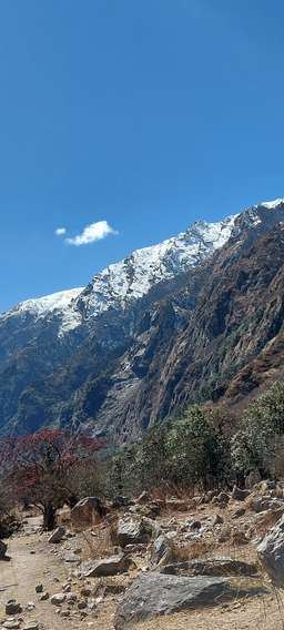 Review image by Clara Mørk-Hansen for the trip title: Langtang Valley View Trekking