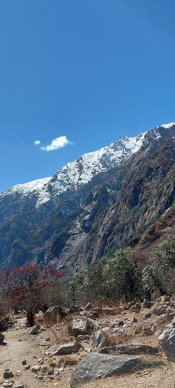 Review image by Clara Mørk-Hansen for the trip title: Langtang Valley View Trekking