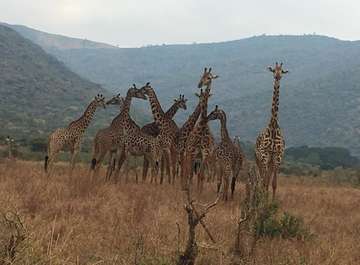 Review image by Fabian Varga for the trip title: 3 Day Weekend Safari from Arusha