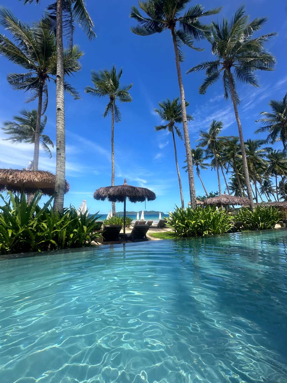 Brilliant tour and guide