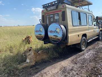 Review image by Thatcher Alessandro for the trip title: 5 Days BIG FIVE Safaris  in Tanzania 
