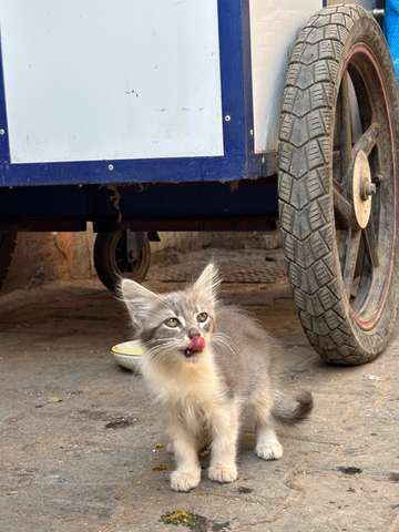 Review image by Ilse Van Der Neut for the trip title: Morocco Uncovered