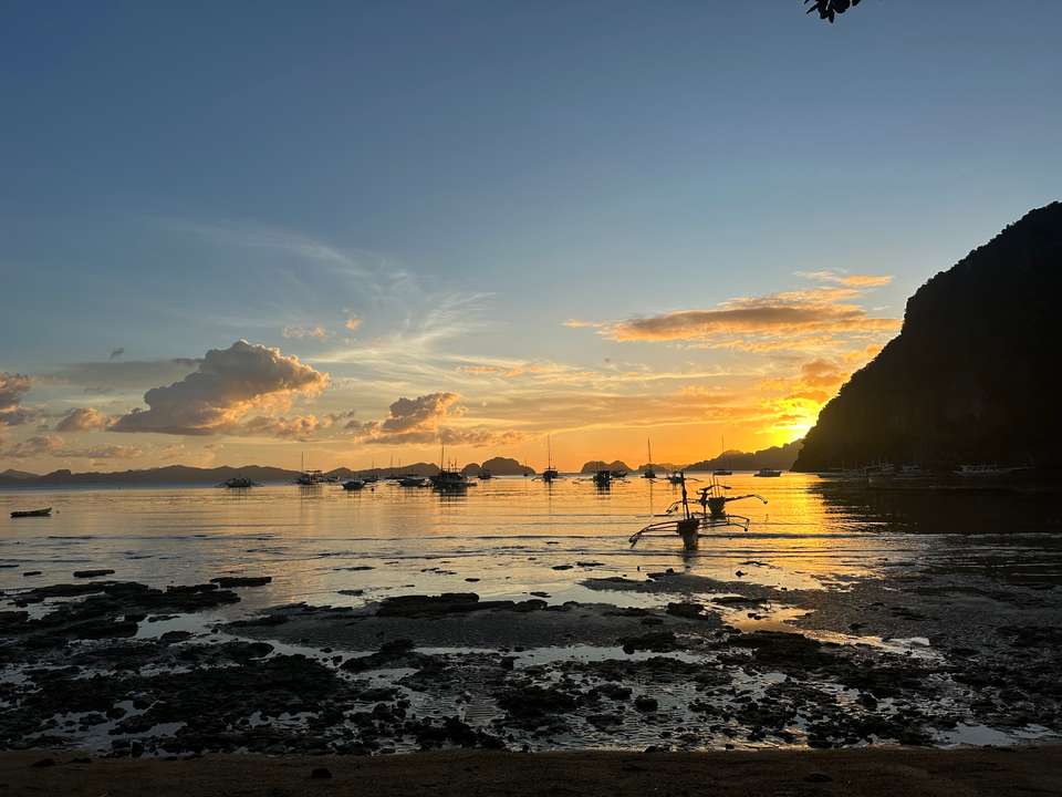 Brilliant Tour and Guide