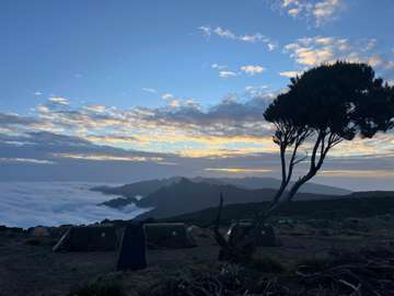 Review image by Pieter Jamaer for the trip title: 7 Days Mount Kilimanjaro Trekking - Machame Route