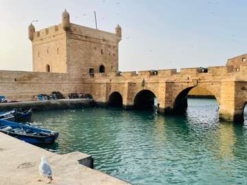 Review image by Oi Ee for the trip title: 10 Days Morocco Imperial Tour And Desert From Casablanca