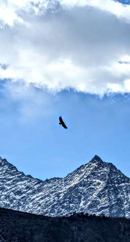 Review image by Namit TS for the trip title: Everest Base Camp Tour