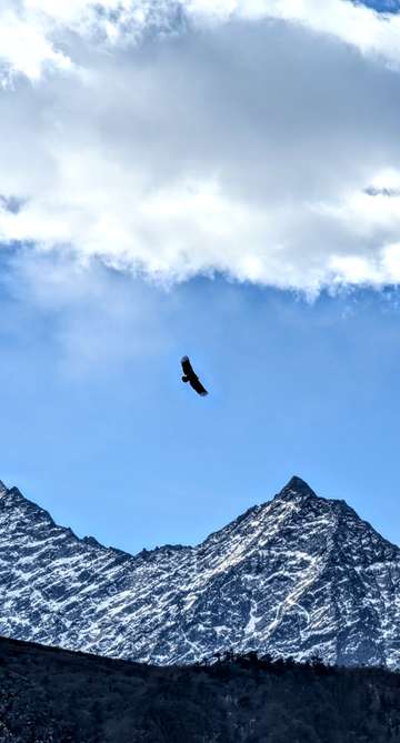Review image by Namit TS for the trip title: Everest Base Camp Tour