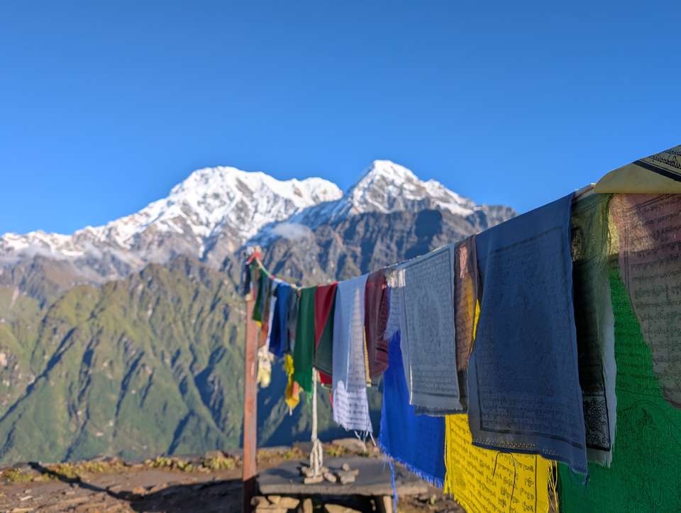 Amazing company and trek to Poon Hill, ABC, and Mardi Himal