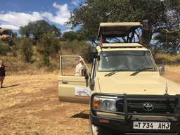 Review image by Mehmet Yılmaz for the trip title: 2 Days Tarangire and Ngorongoro Wildlife Safari