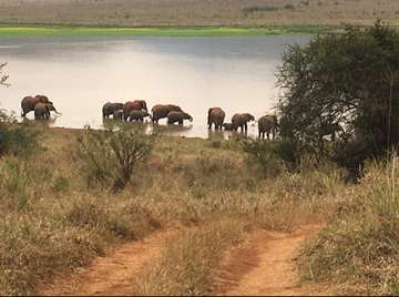 Review image by Nora Wagner for the trip title: 4 Days Hakuna Matata Safaris