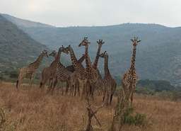 Review image by Fabian Varga for the trip title: 3 Day Weekend Safari from Arusha