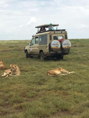 Review image by Myrelia Solmont for the trip title: 5 Days BIG FIVE Safaris  in Tanzania 