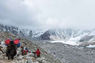 Review image by Minhduongvn for the trip title: Everest Base Camp - 3 High Passes Trek