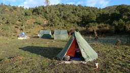 Review image by Peter for the trip title: 11 Day Druk Path Trek