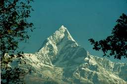 Review image by Dave Walker for the trip title: Ghorepani Poonhill Trek
