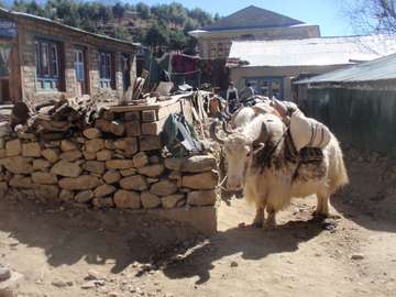 Review image by C Larson for the trip title: Everest Base Camp Trek 16 Days