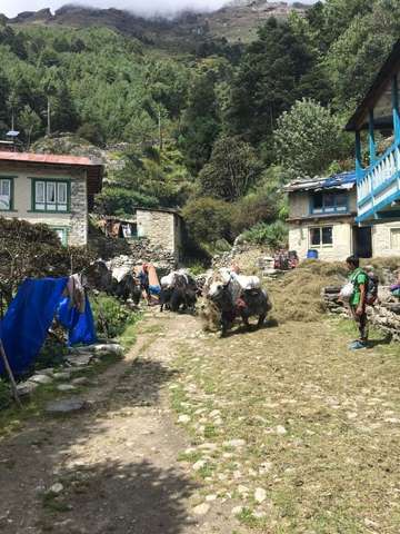 Review image by Robert Ball for the trip title: Everest Base Camp Trek