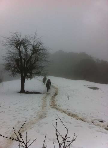 Review image by Sue Gibson for the trip title: Annapurna Base Camp trek