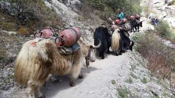 Review image by Doireann Kenny for the trip title: Everest Base Camp Trek 16 Days