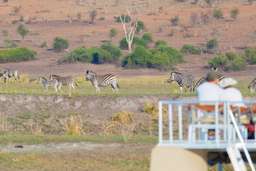 Review image by Kylie Mills for the trip title: 8-Day Camping Safari : Best of Tanzania