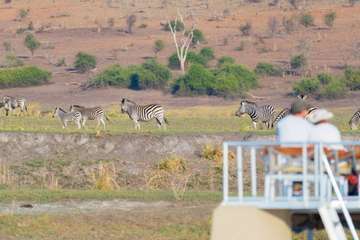 Review image by Kylie Mills for the trip title: 8-Day Camping Safari : Best of Tanzania