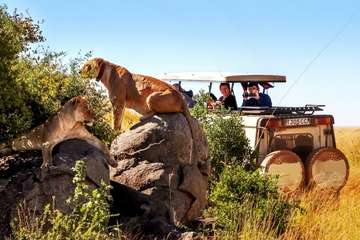 Review image by Kylie Mills for the trip title: 8-Day Camping Safari : Best of Tanzania