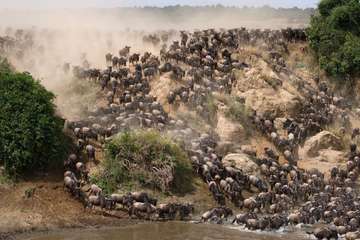 Review image by Kylie Mills for the trip title: 8-Day Camping Safari : Best of Tanzania