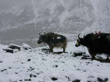 Review image by Chet for the trip title: Everest Base Camp Trek