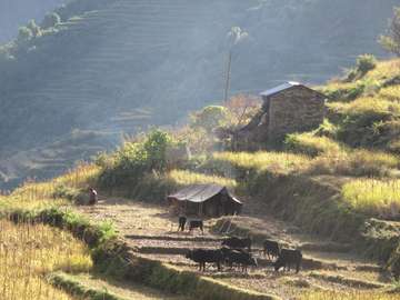 Review image by Gabi for the trip title: Ruby Valley Ganesh Himal Trek / Pangsang Pass