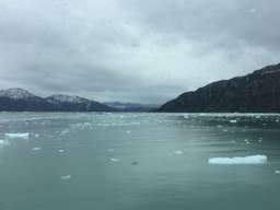 Review image by Philip M. Weinstein for the trip title: El Calafate & Perito Moreno Glacier - 3 nights