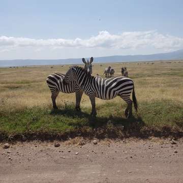 Review image by Michelle Dunn for the trip title: 6 Day Safari Extravaganza in Tanzania
