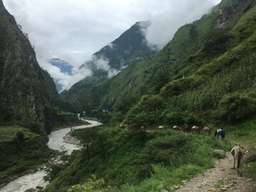 Review image by Anonymous for the trip title: Manaslu Trek - 12 Days