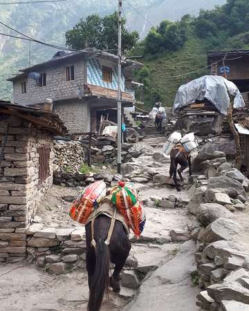 Review image by Hayley Roberts for the trip title: Manaslu Circuit Trek
