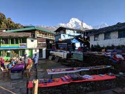 Review image by David Ball for the trip title: Annapurna Base Camp Trek