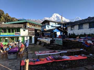 Review image by David Ball for the trip title: Annapurna Base Camp Trek