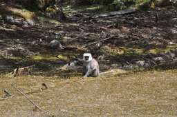 Review image by Henri Nykanen for the trip title: Langtang Valley Trek