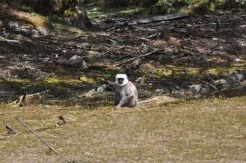 Review image by Henri Nykanen for the trip title: Langtang Valley Trek