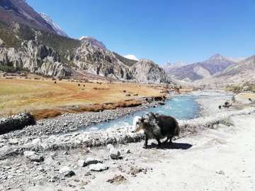 Review image by Калина for the trip title: 15 Day Annapurna Circuit Trek with Tilicho Lake