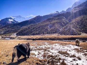 Review image by Anonymous for the trip title: 15 Day Annapurna Circuit Trek with Tilicho Lake