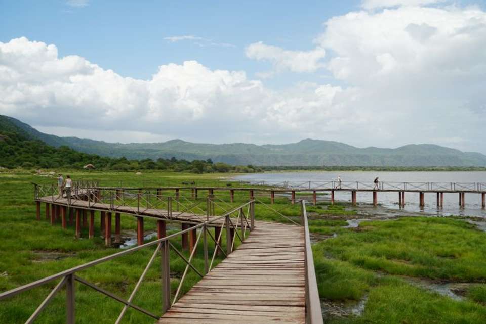 Amazing safari experience with SafariBook Evolution!