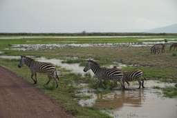 Review image by Ewa Golinska for the trip title: 8 Days Kenya and Tanzania Classic Safari