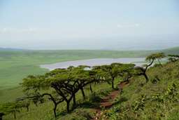 Review image by Ewa Golinska for the trip title: 8 Days Kenya and Tanzania Classic Safari
