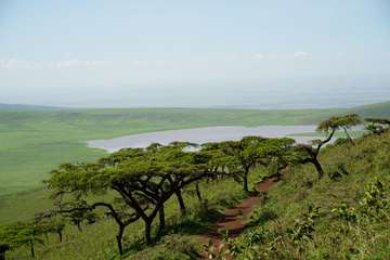 Review image by Ewa Golinska for the trip title: 8 Days Kenya and Tanzania Classic Safari