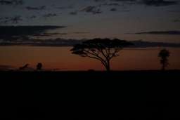 Review image by Ewa Golinska for the trip title: 8 Days Kenya and Tanzania Classic Safari