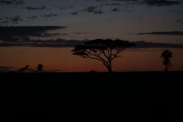 Review image by Ewa Golinska for the trip title: 8 Days Kenya and Tanzania Classic Safari