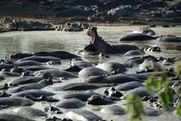 Review image by Ewa Golinska for the trip title: 8 Days Kenya and Tanzania Classic Safari