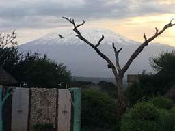 Review image by Ewa Golinska for the trip title: 8 Days Kenya and Tanzania Classic Safari